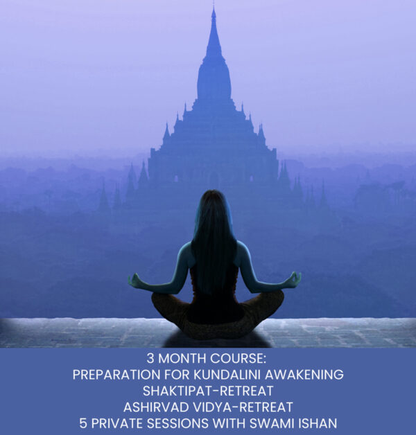 The Journey plus 5 Sessions with Swami Ishan